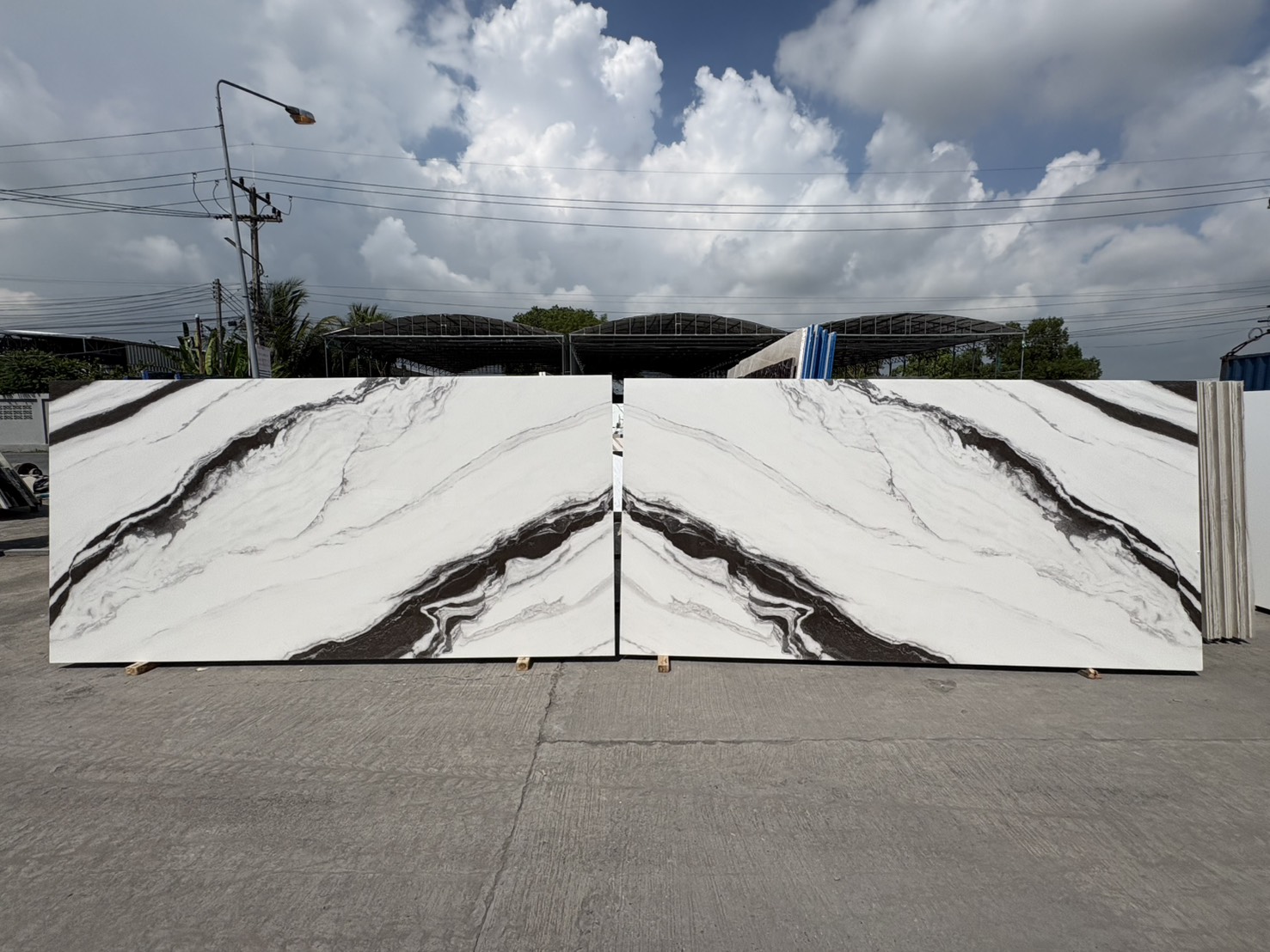 ./ProdImg/cover/ซินเทียแพนด้าไวท์ (บุคแมท)/20260311102532.jpg